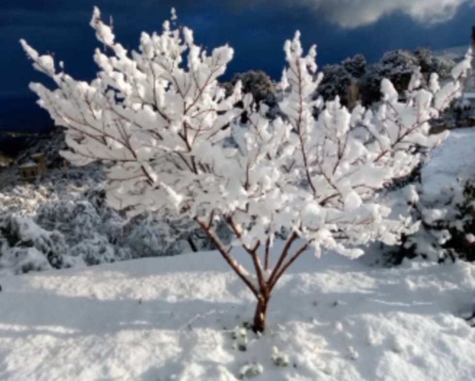 Assia's Winter